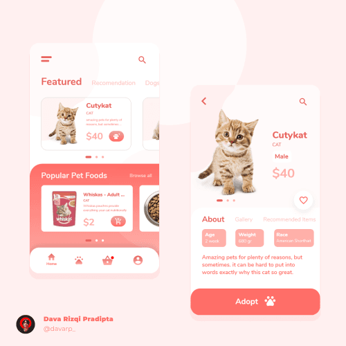 Pet Shop Design 🐾